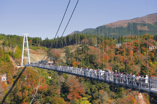 九重“夢”大吊橋