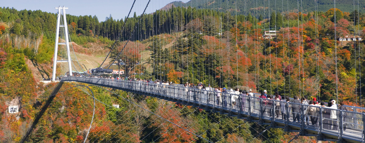 九重“夢”大吊橋